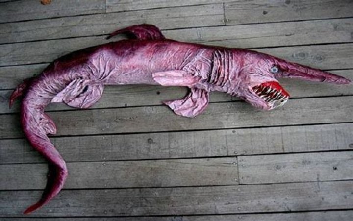 Are goblin sharks aggressive?