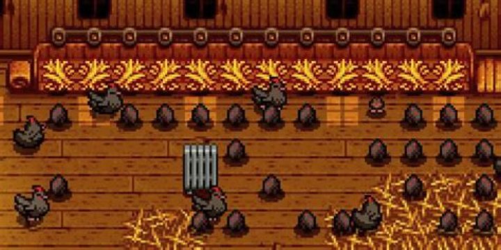 Are void chickens profitable?