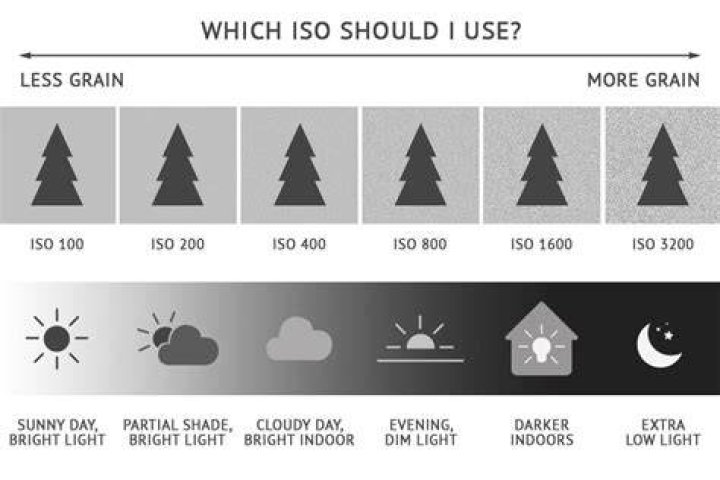 At what ISO do you start seeing grain?