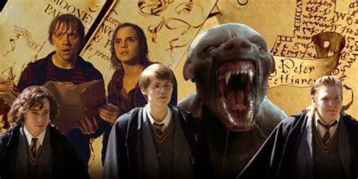 Did Dumbledore know the marauders were Animagi?