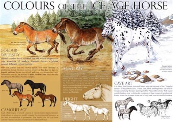 Did horses survive the Ice Age?