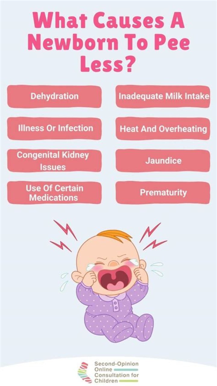 Do babies pee less at night?