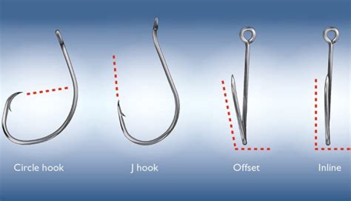 Do circle hooks dissolve?