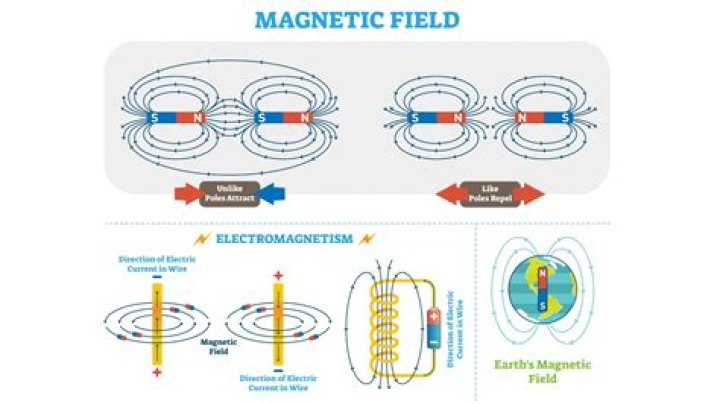 Do magnets affect bees?