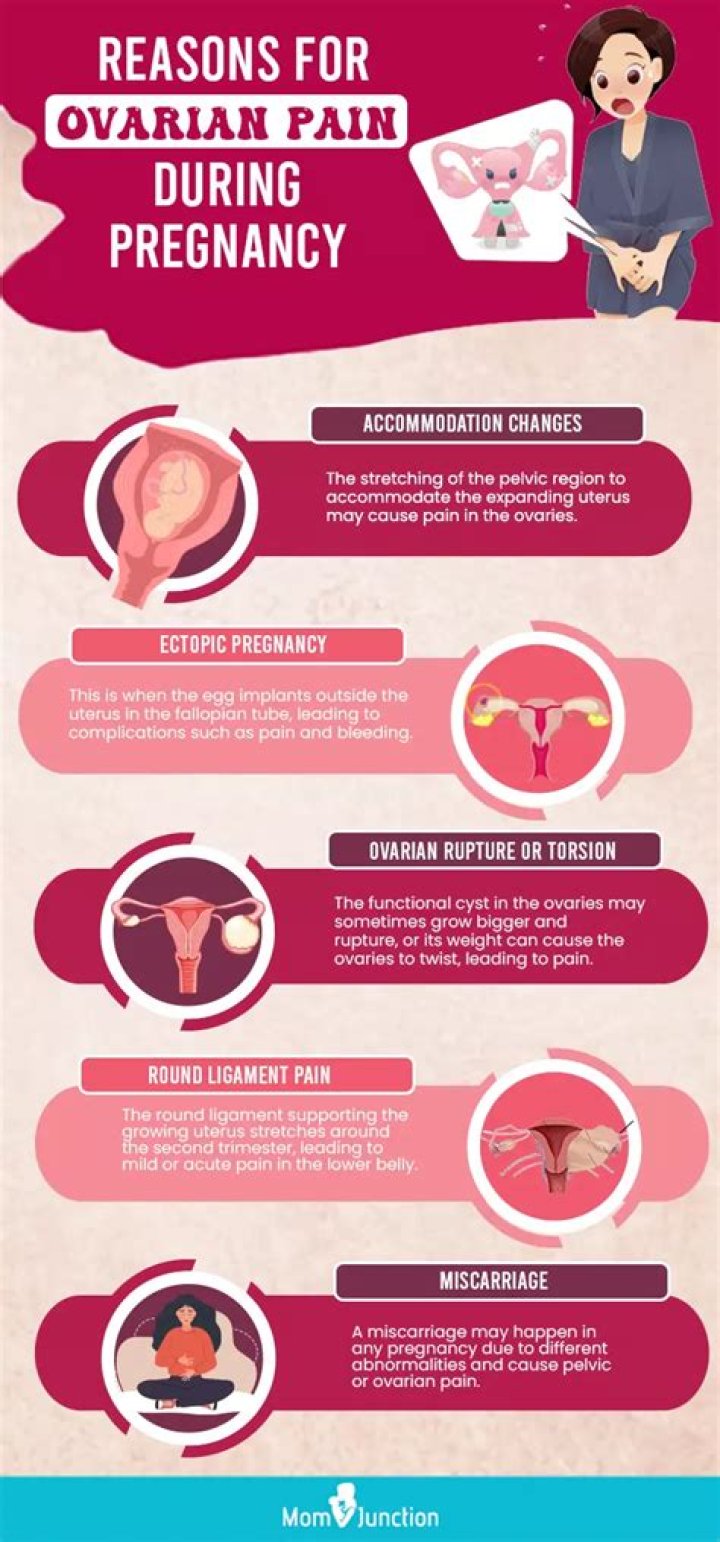 Do your ovaries hurt when pregnant?