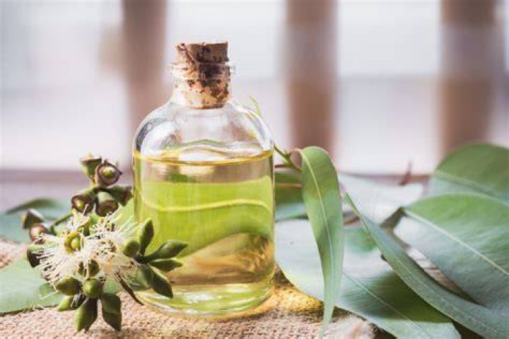 Does eucalyptus oil need a carrier oil?