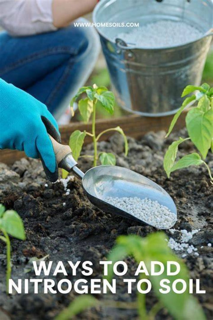 How can I add nitrogen to my plants fast?