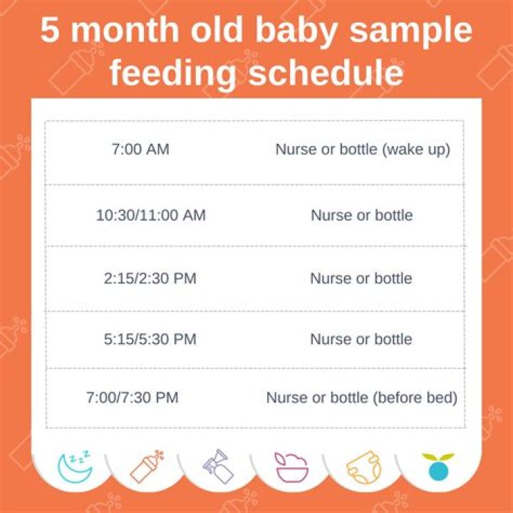 How often should a 5 month old feed at night?