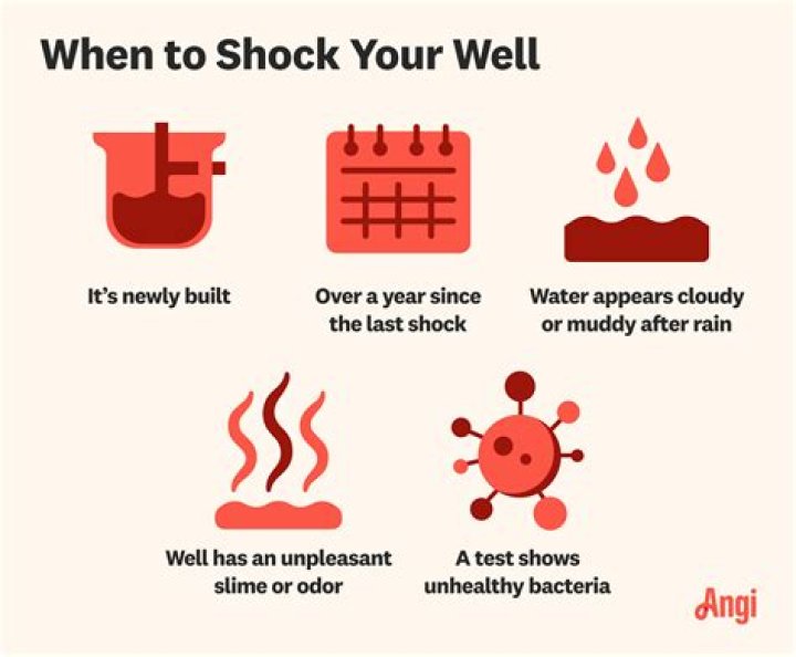 How often should you shock your well?