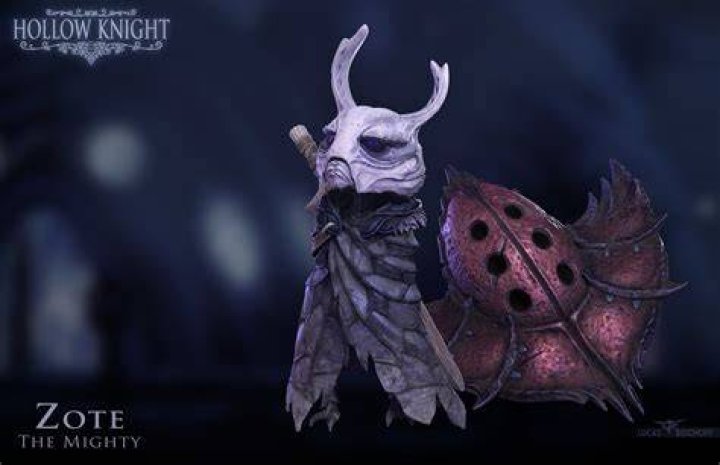 What bug is ZOTE?