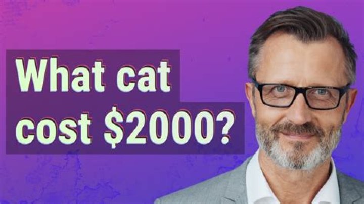 What cat cost $2000?