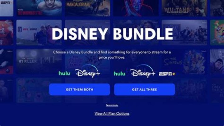 What channels are on the Disney Plus bundle?