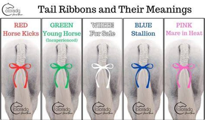 What does a GREY ribbon mean?