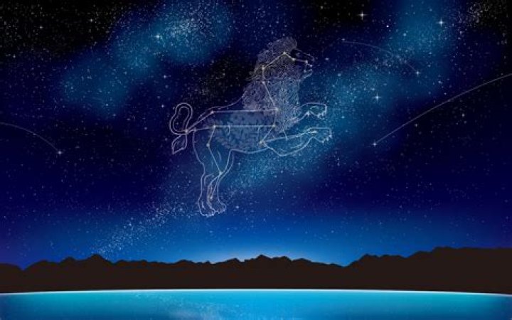 What does a Leo look for in a partner?