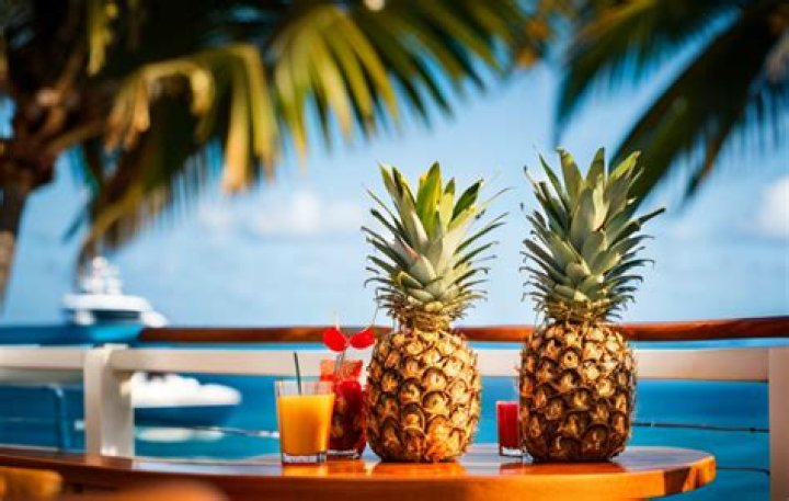 What does a pineapple mean on a cruise?