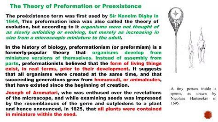 What does preformation mean in biology?