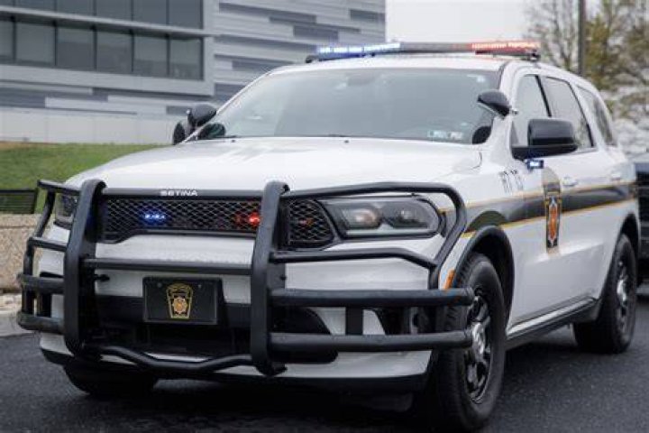 What does PSP mean in police?