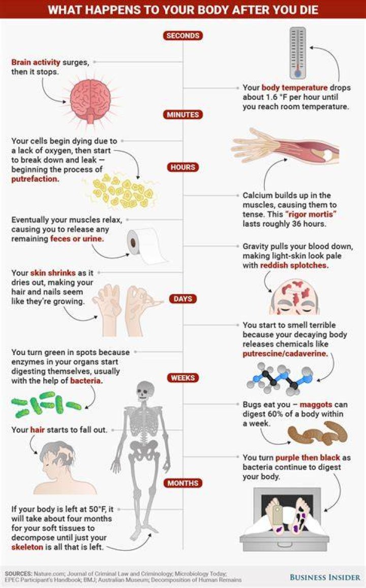 What happens to your body in your sixties?