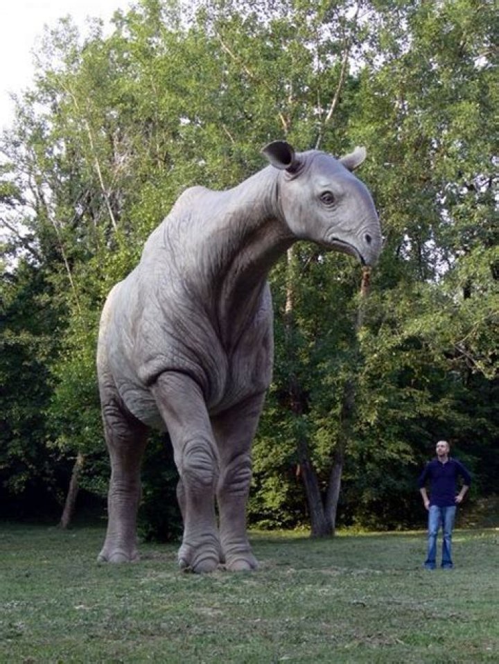 What is the largest extinct mammal?