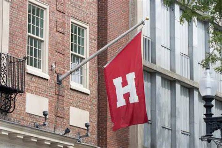 What major is Harvard known for?