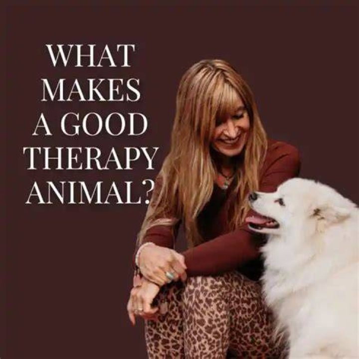 What makes a good therapy animal?