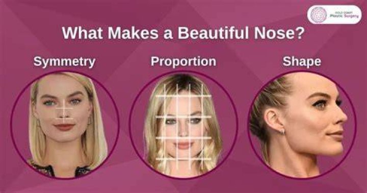 What makes a nose pretty?