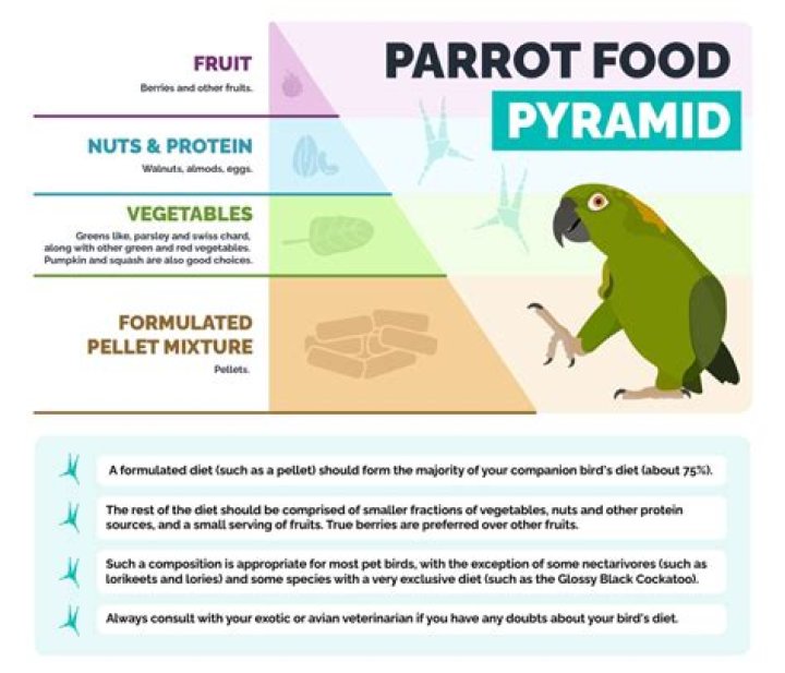What parrots Cannot eat?