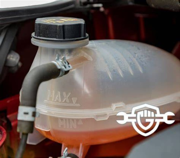 Where should my coolant level be?
