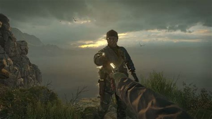 Why does Adler betray?