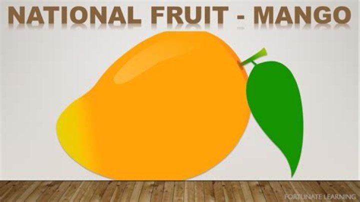 Why is mango a national symbol?