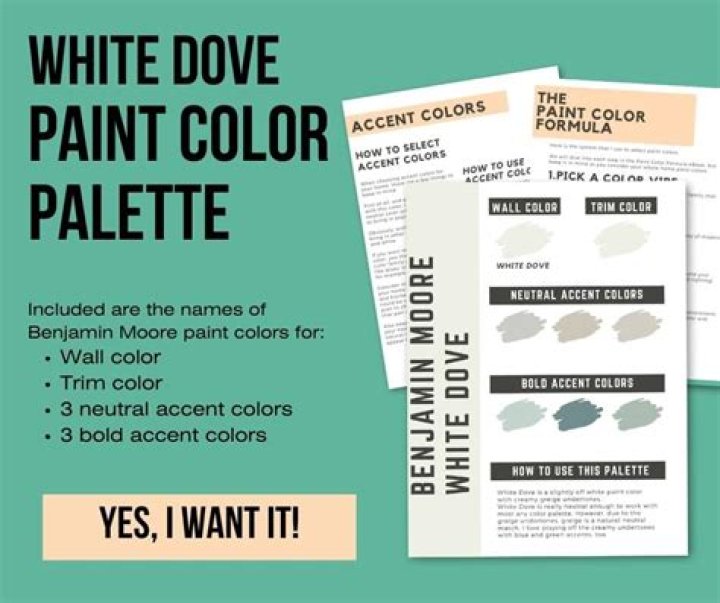Why is white dove so popular?